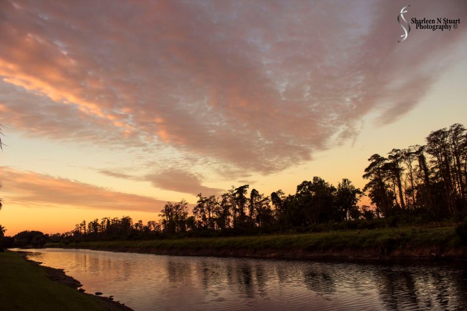 Outback on the Canal:  January 26, 2015 0172