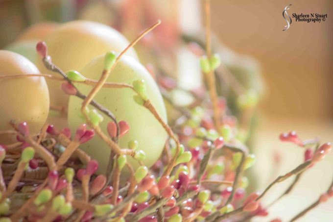 M4H: Perspective: February 24 2015, 2709