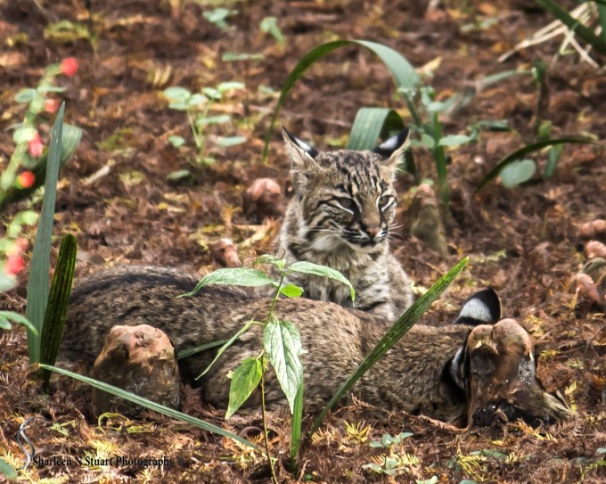 January 3, 2014 8461