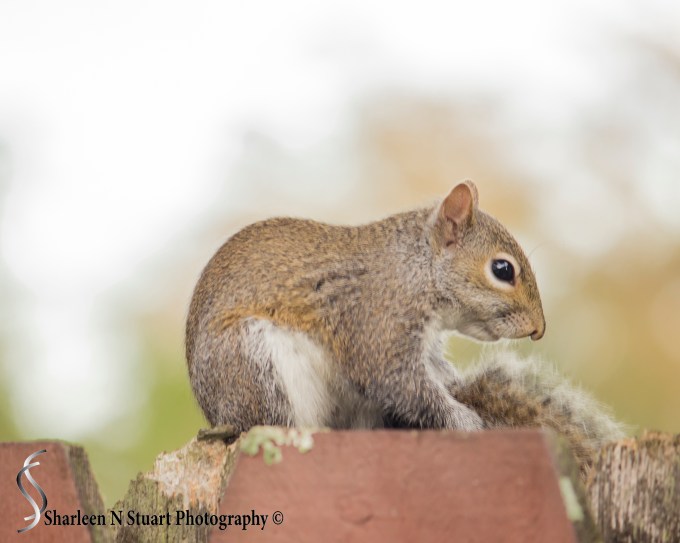 Out on the back canal:  January 5, 2015 8606