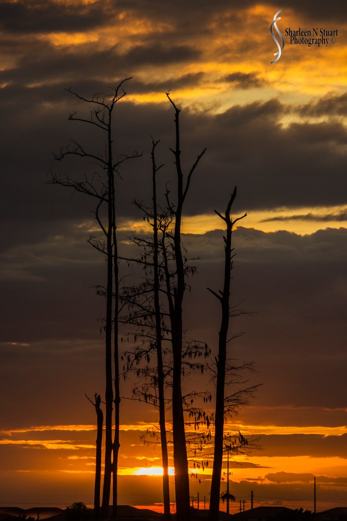 Wellington: January 6, 2014 8647