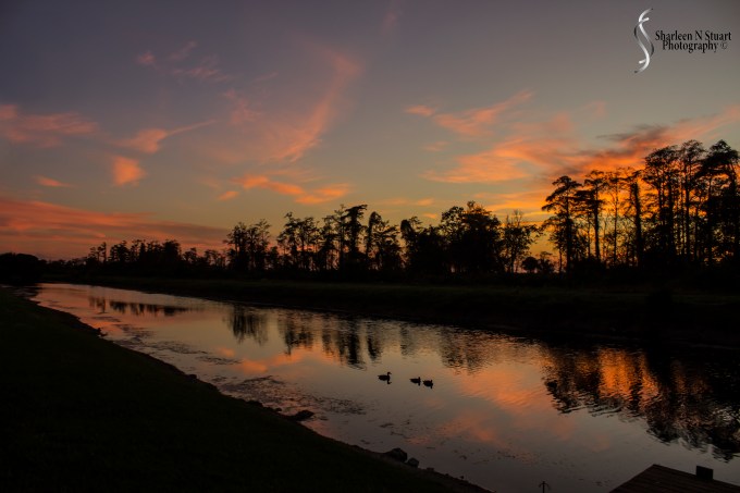 Out on the back canal:  January 7, 2015 8684