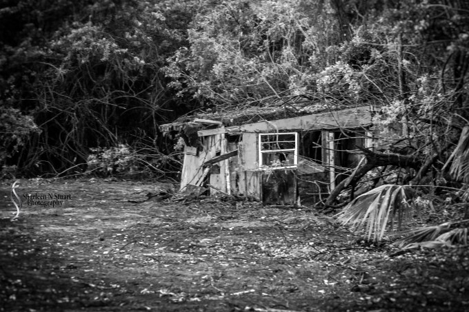 Abandoned: January 12, 2014: 9154