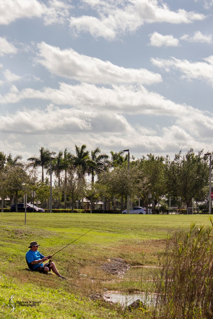 At the Lake: January 17, 2014 9639