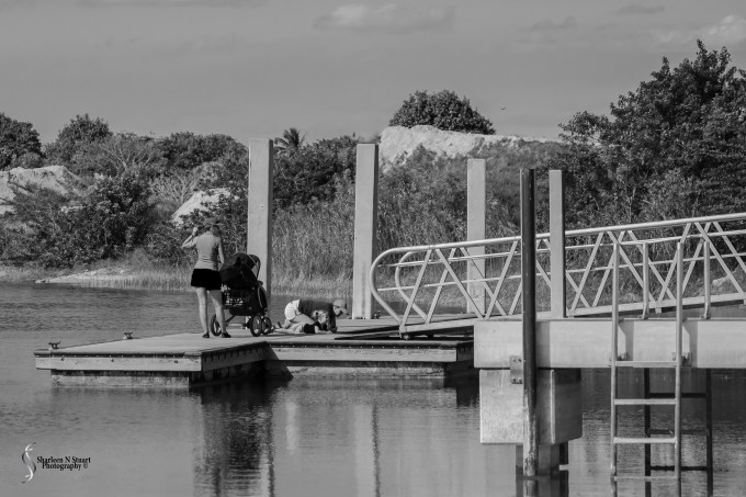 At the Lake: January 17, 2014 9640