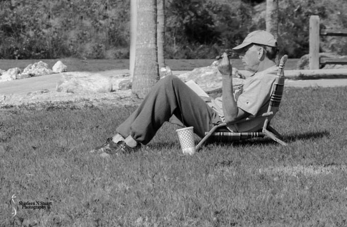 At the Lake: January 17, 2014 9672