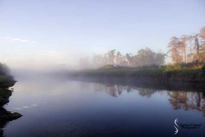 Outback on the Canal:  January 19, 2015 9802