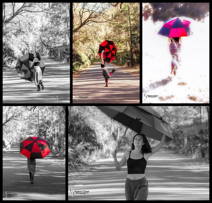 Gainesville: February 13, 2015 2008