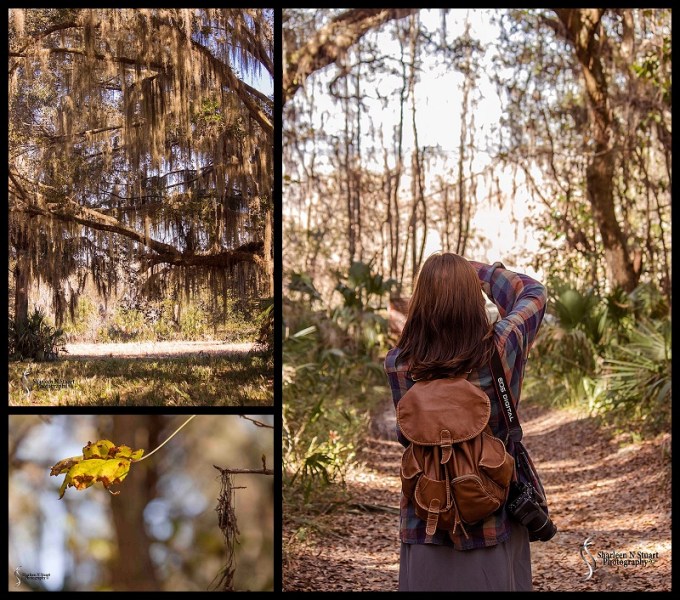 Paynes Prairie: February 13, 2014 1851