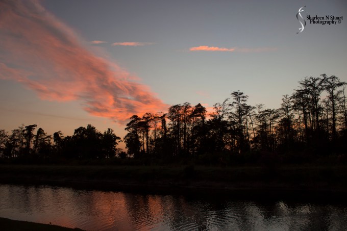 Outback on the Canal:  February 3, 2015 930