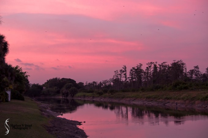 Outback on the Canal:  February 1, 2015