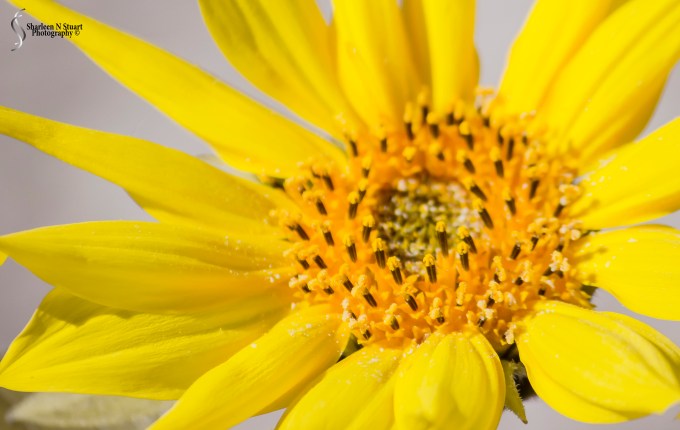 Outback on the canal:  Feb 15, 2015 2040