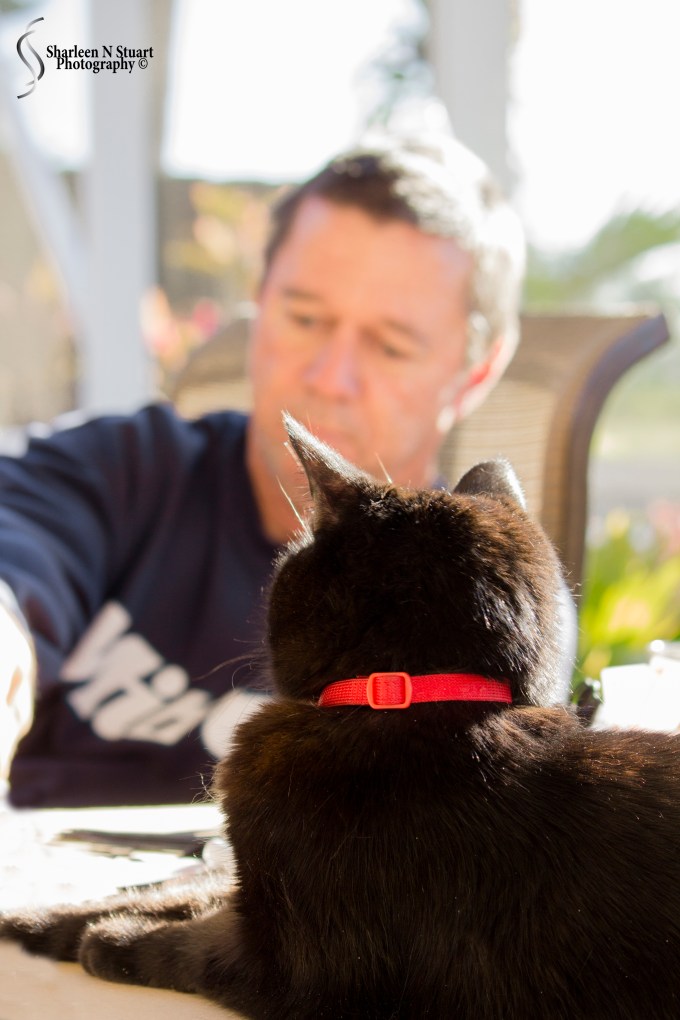 Outback on the canal:  Feb 15, 2015 2044