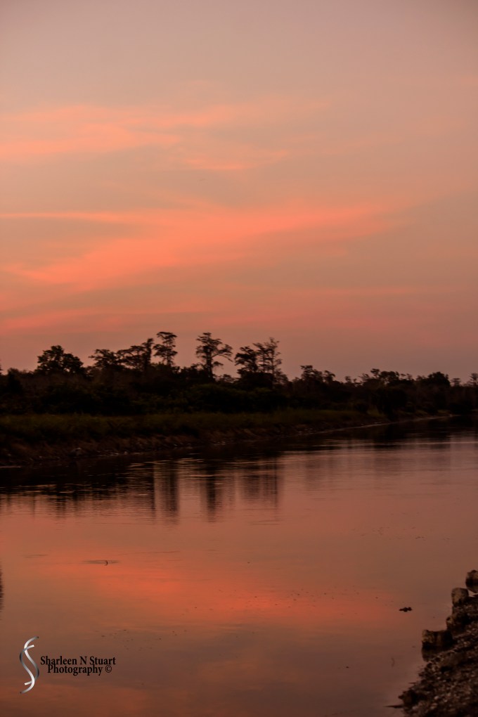 Outback on the canal:  Feb 15, 2015 2072