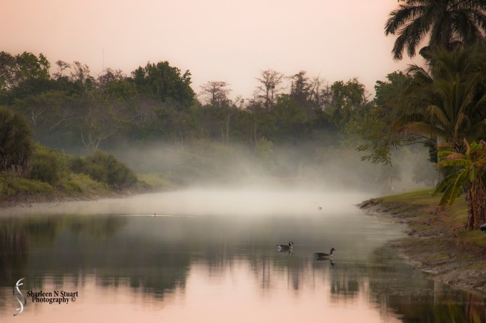 Outback on the canal:  Feb 15, 2015 2073