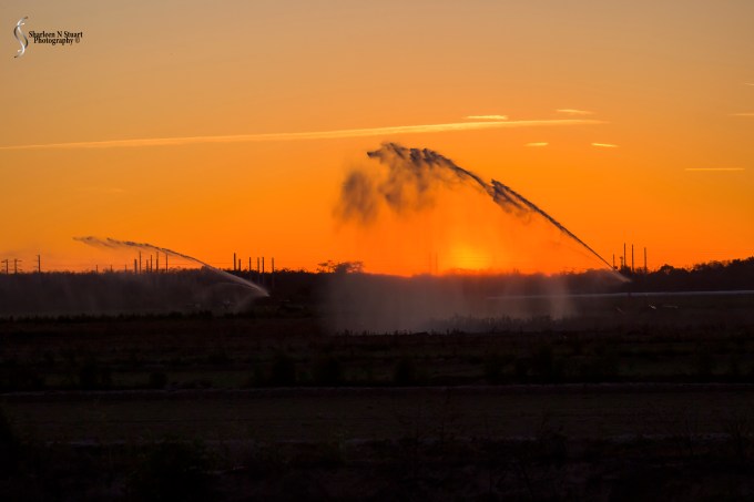 Heading home:  Feb 19 2015  2292