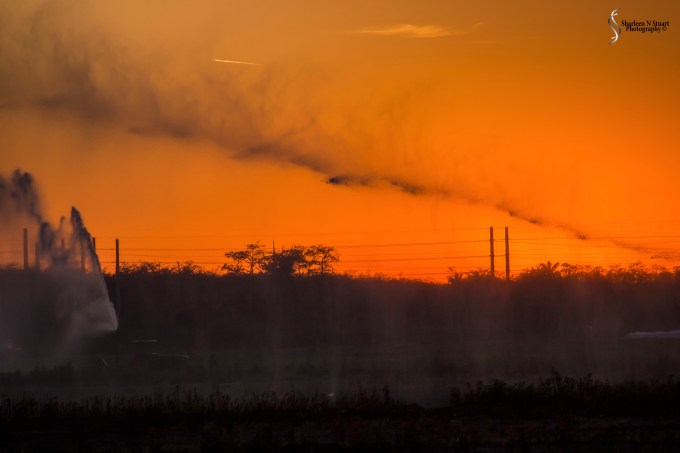 Heading home:  Feb 19 2015  2294