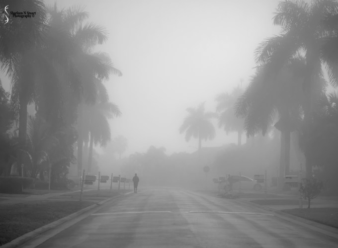 A Foggy Morning: February 23, 2015 2660