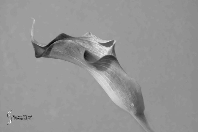 February 26, 2015 2863