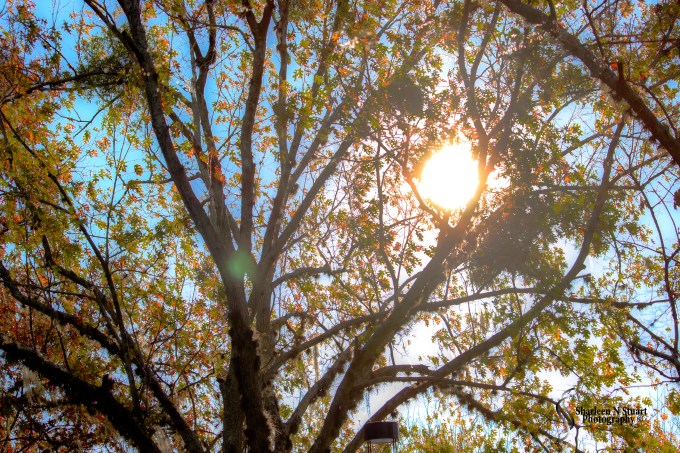 Escaping the Surgery Center: February 11, 2015