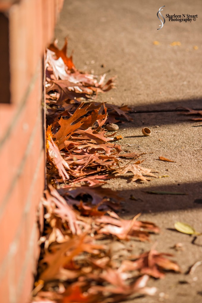 Escaping the Surgery Center: February 11, 2015 1639