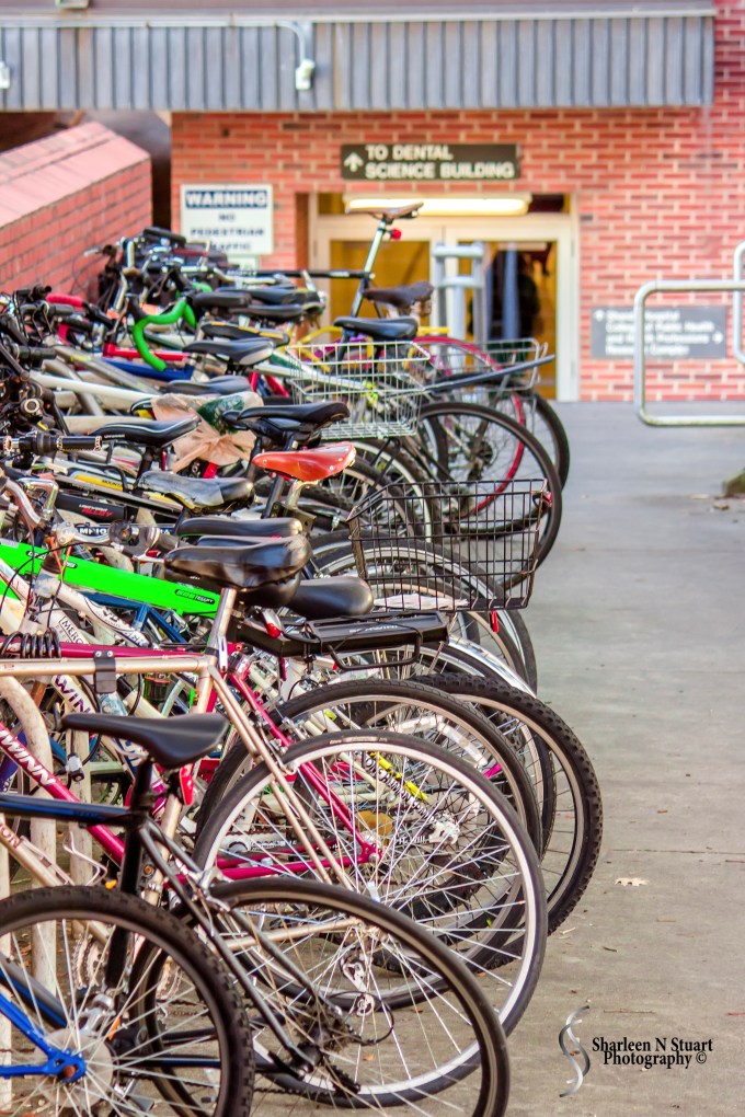 Gainesville: February 11, 2015 1642