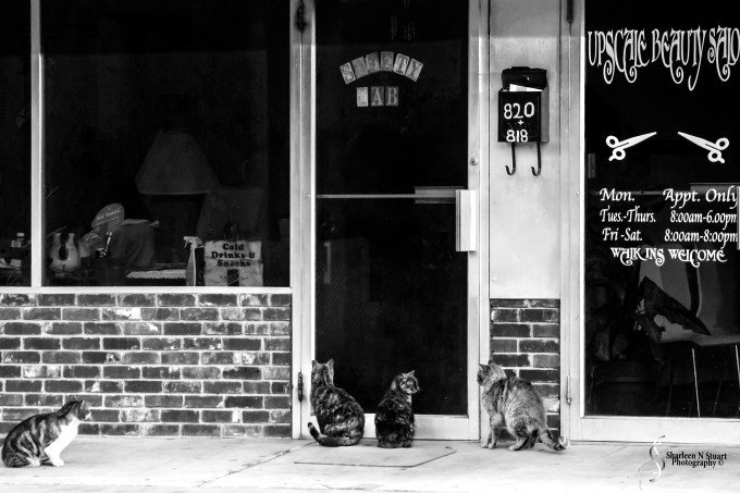 Early in the morning: February 12, 2015 1665