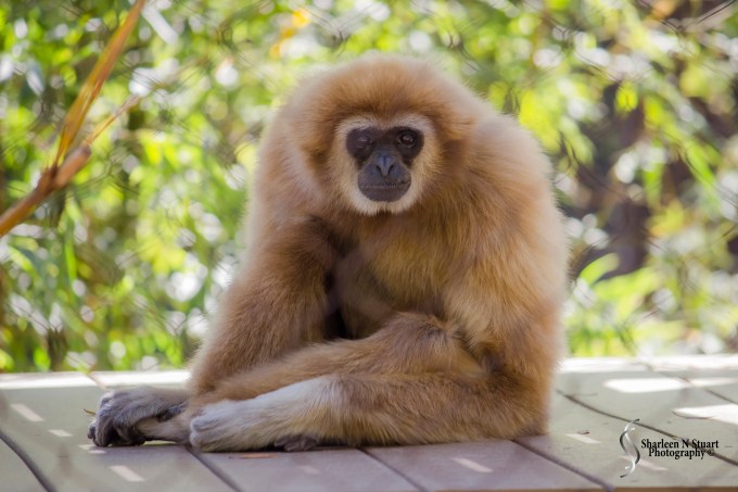 Gainesville: February 12, 2014 1718