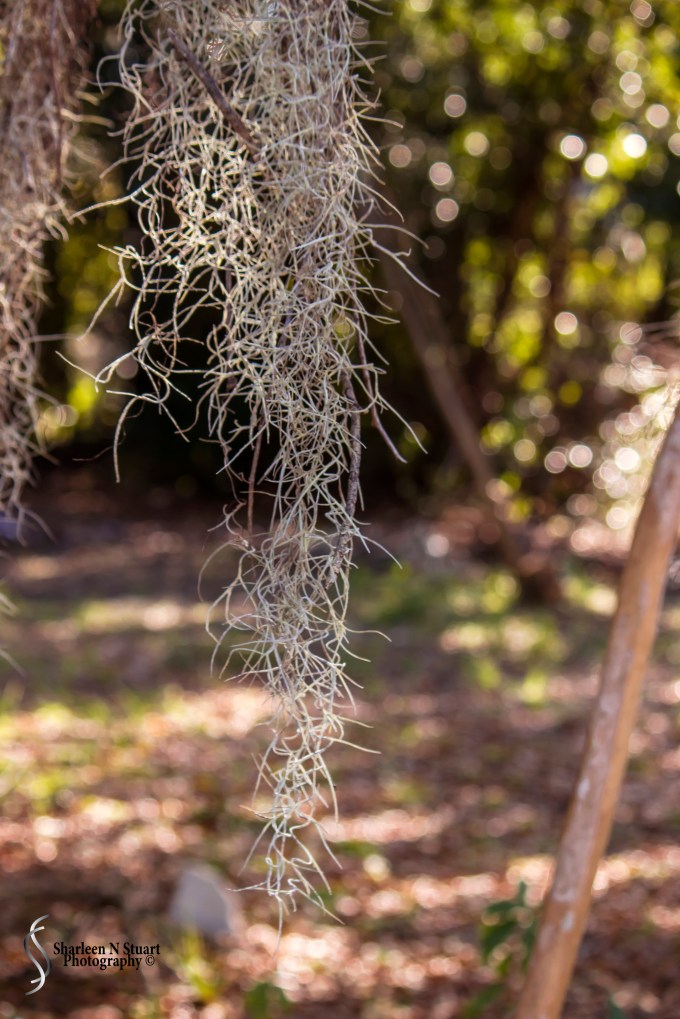 Late Afternoon: February 12, 2015 1820