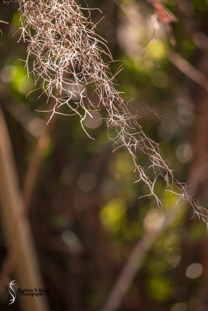 Late Afternoon: February 12, 2015 1822