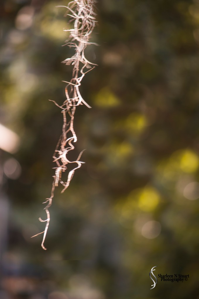 Late Afternoon: February 12, 2015 1832