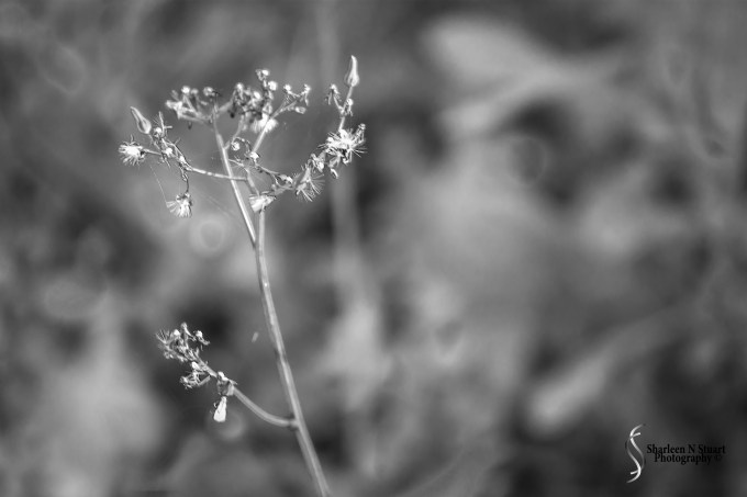 Late Afternoon: February 12, 2015 1836