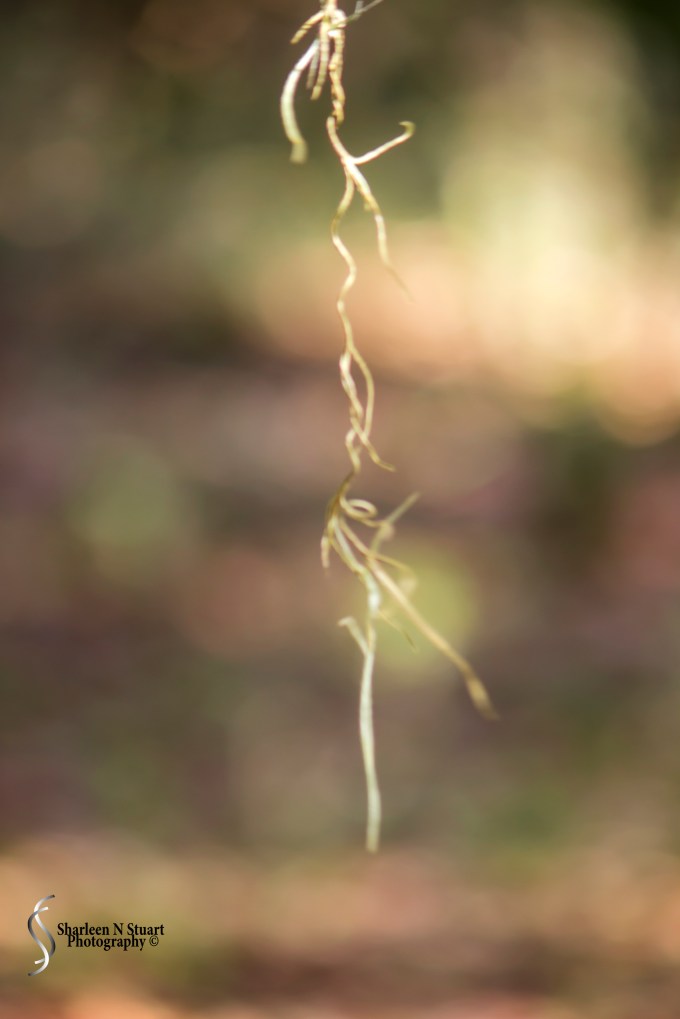 Late Afternoon: February 12, 2015 1846