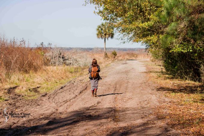 Paynes Prairie:  February 13, 2015 1867