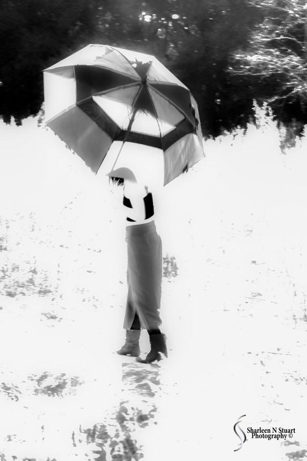 Gainesville: February 13, 2015 1963