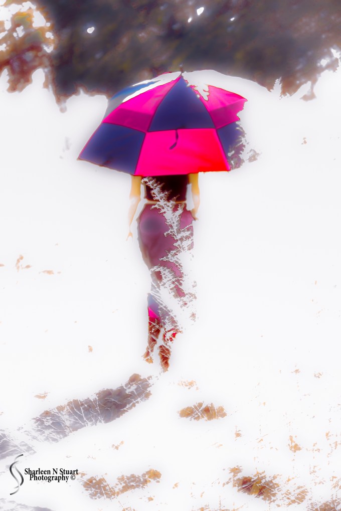 Gainesville: February 13, 2015 1964