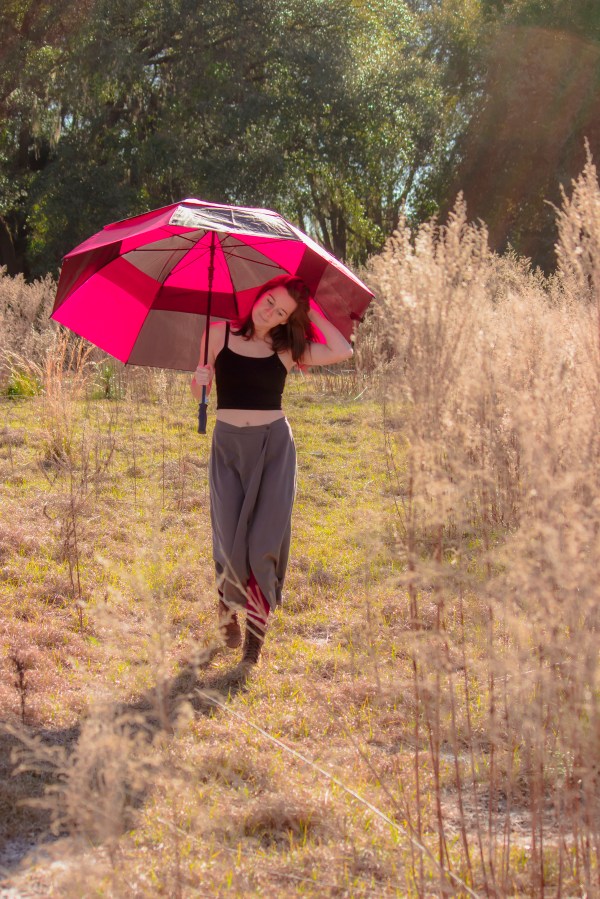 Gainesville: February 12, 2015 1969