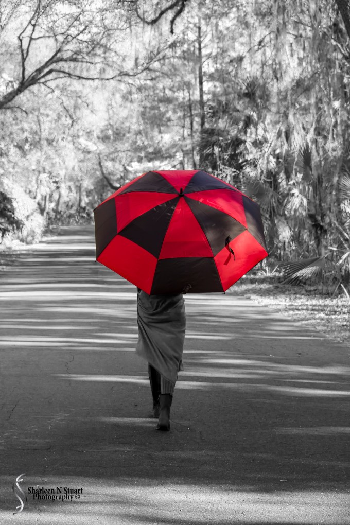 Gainesville: February 12, 2015 1973