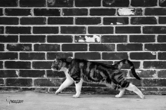 Late Afternoon: February 13, 2015 2036