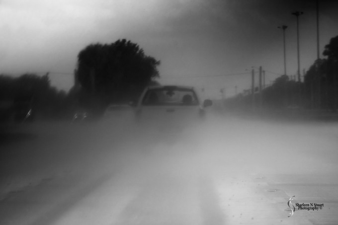 Lake Worth Street Painting:  February 21, 2015 2622