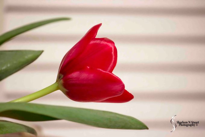 February 28, 2015 2956