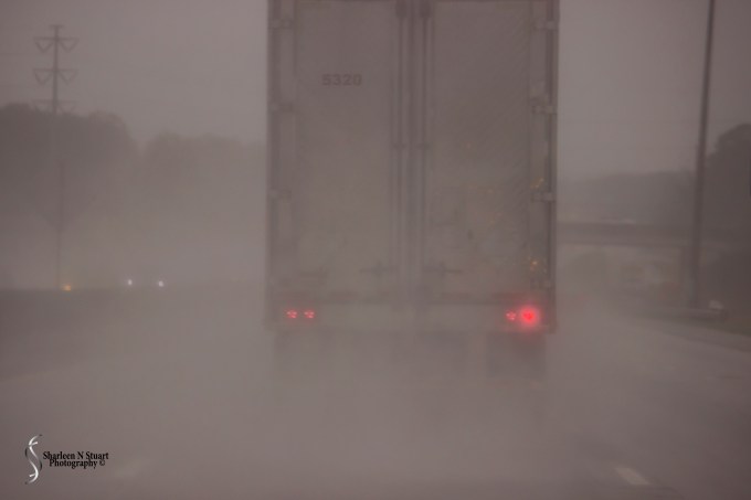 Nashville/Savannah/Gainesville Trip: March 18, 2015 4062