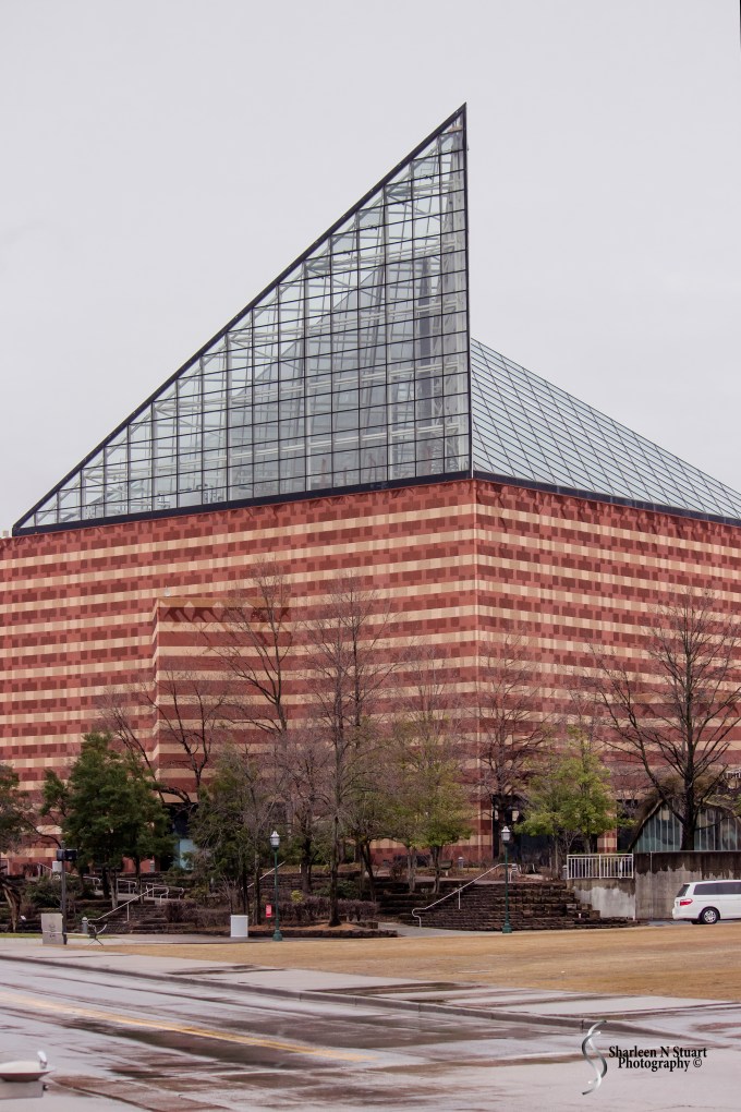 Nashville/Savannah/Gainesville Trip: March 13, 2015 4089