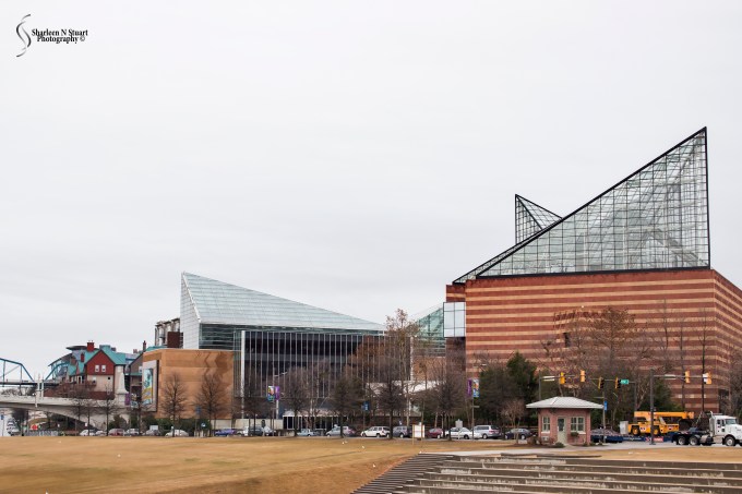 Nashville/Savannah/Gainesville Trip: March 13, 2015 4102