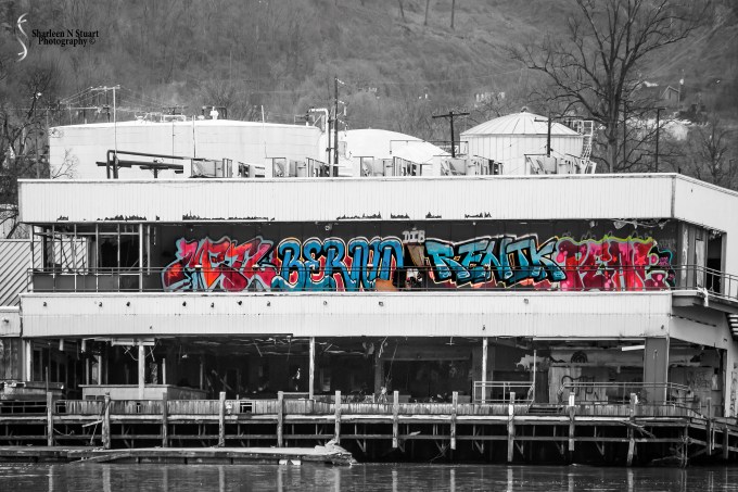 Nashville/Savannah/Gainesville Trip: March 13, 2015 4105