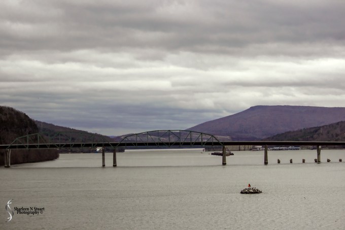 Nashville/Savannah/Gainesville Trip: March 13, 2015 4137