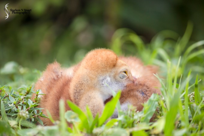 Peaceful Waters Wetlands: March 24, 2015 8552
