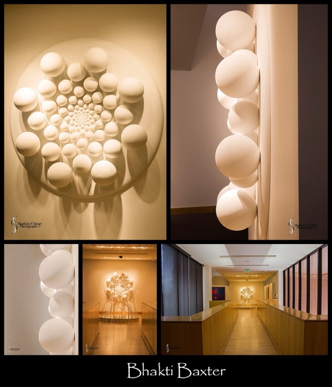 Boca Raton Museum of Art:  April 24, 2015 1095