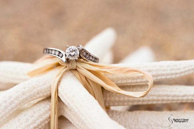 Cameron & Kathryn Engagement: March 28, 2014 9027