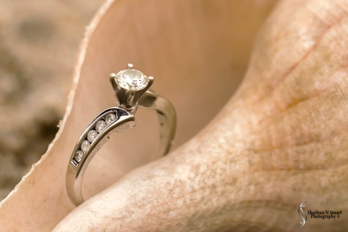 Cameron & Kathryn Engagement: March 28, 2014 9045